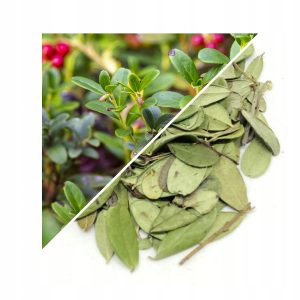 FRUNZE DE MERIȘOR (VACCINIUM VITIS-IDAEA) – 200  G, 100% NATURALĂ – CEAI PENTRU RINICHI ȘI TRACT URINAR
