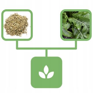 1e7662f947e58fda333a00106926adf6