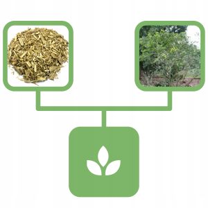 256e956de9e5c1933f18cf5a69ce215d