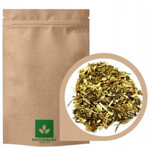 372c7e6a8a8af69a58b2af293d159967