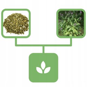 9885b300301d1e92d3673260fa90436a