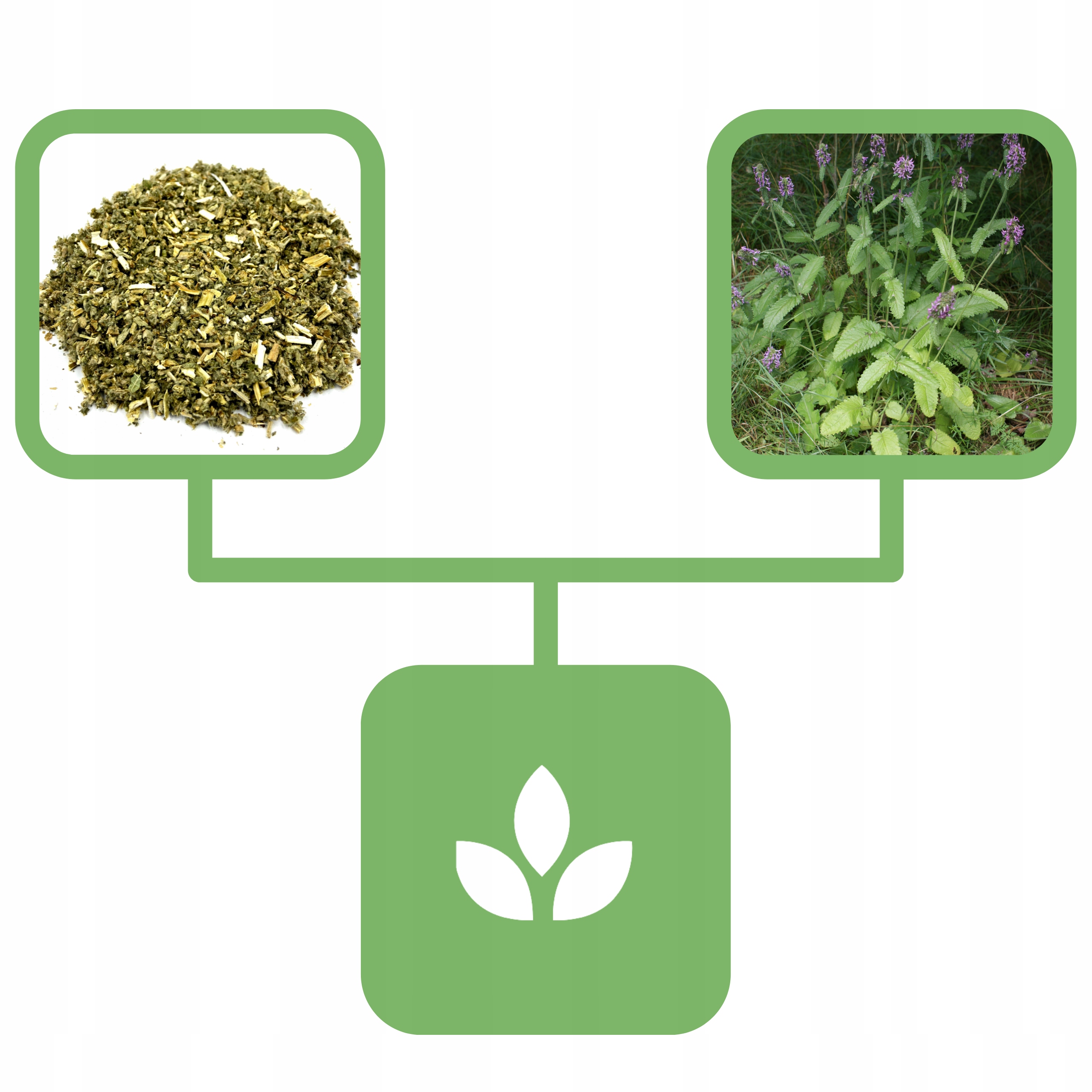 119859b9c33d0d6400039c435e176a24.jpg 9885b300301d1e92d3673260fa90436a