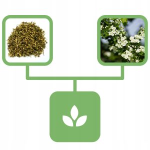 4a8eb289eb58624a61bdabff63b880d9