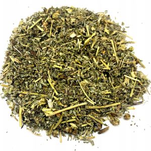 c06be2bd10b15d31487f3aa79bfd3039