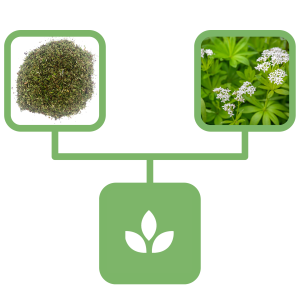 1f7414a9ce411c21cbd67a67e4e6d03c