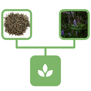 2b50246c1426b6f30a4f6fe9cc2fcccb