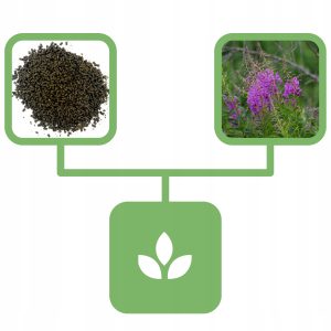 c07acb110f15df3ccda8e6229fcaf18d