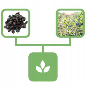 62f22fa33ac995ca0e6f3be49557af4a