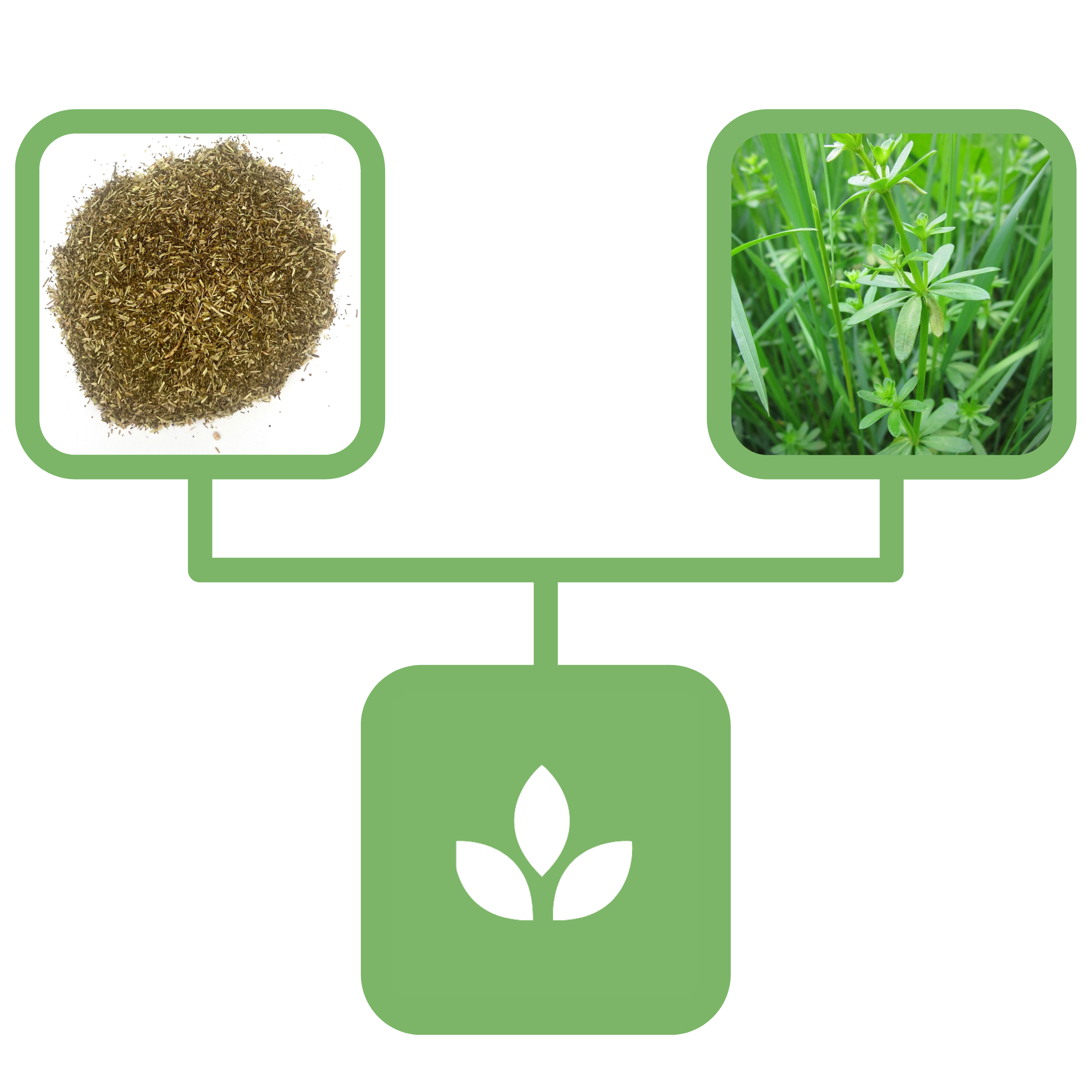 40b05f09d0842e81004a74c50edfa039.png b4ba04acccf7f71ee77fa87d7fc099bb