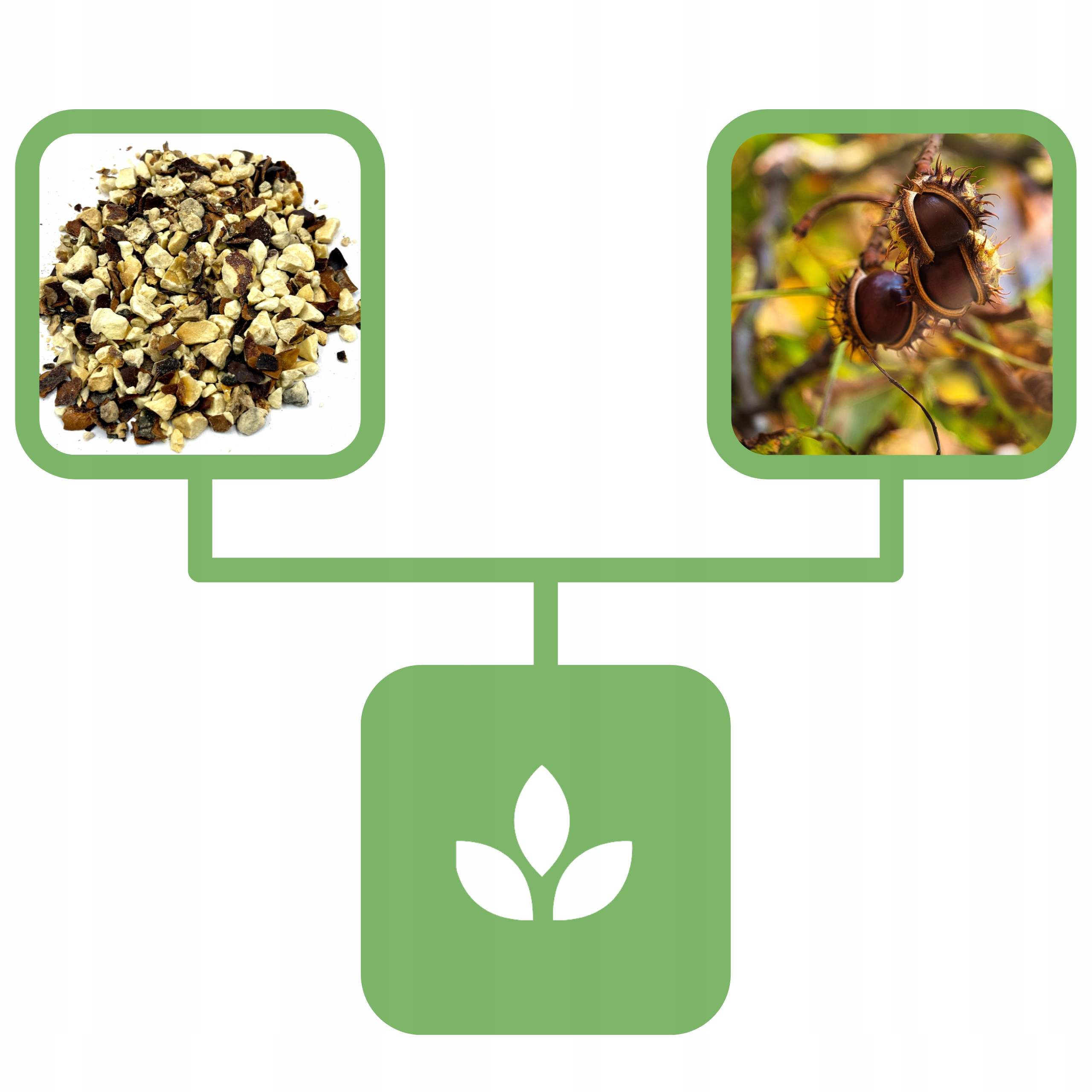 4839b68587b26bf5557124665e9a03b7.jpg 5e66a4297dd23d54b89ca4e1c71b8513