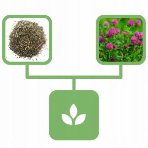 737f7482192700831569b9a795f3cdf5