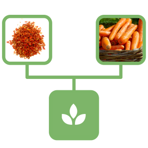 1cdf90c004f390c61ea027e4f2809654