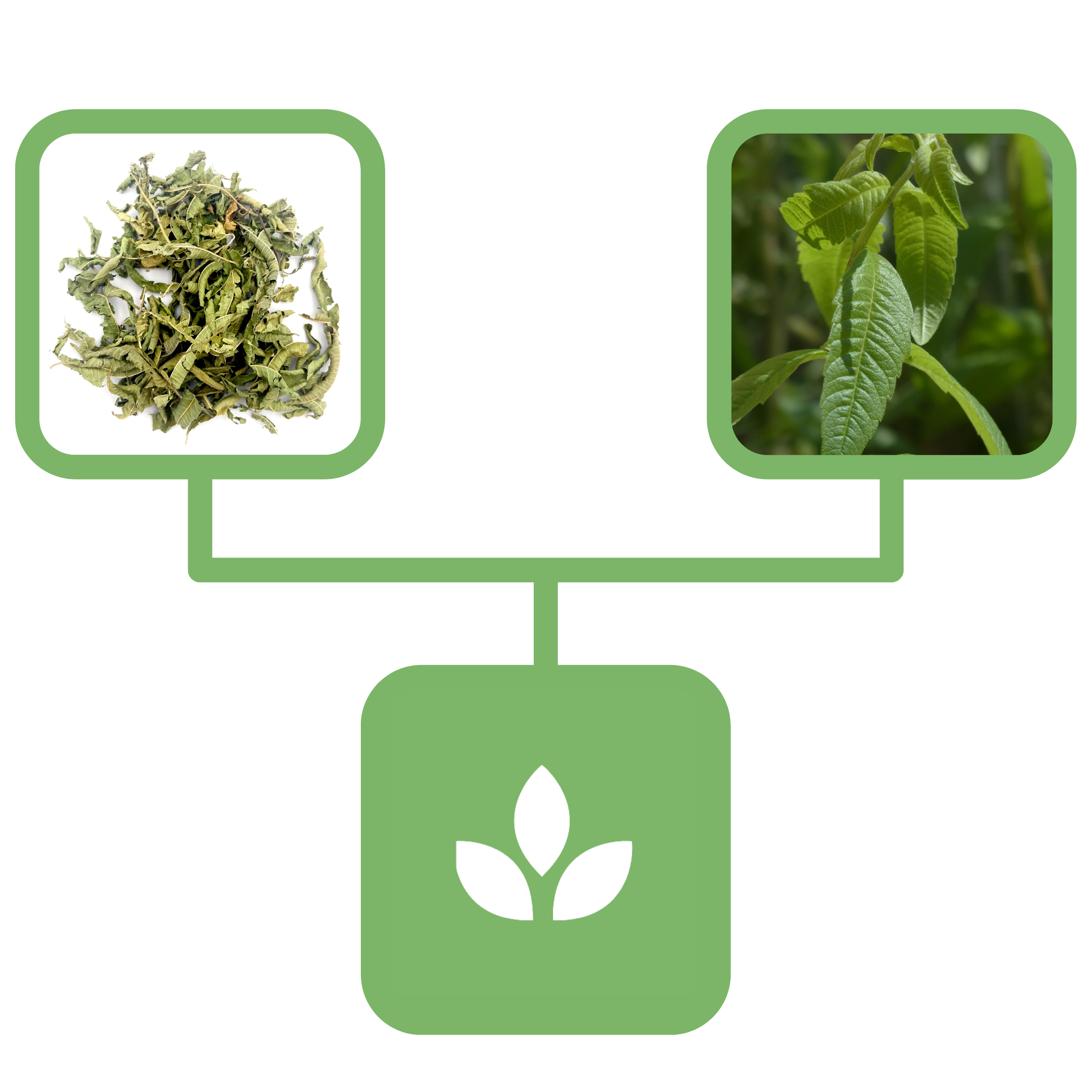 50e972734faf04fe79dd8a611d09b217.png 27906b0cd69fafec152775bd315cc310