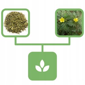 bc34ed30ca0ee8d77830c6982ca1f29e