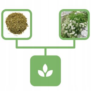 80e0627dc8eaaf4c76887791a8997920