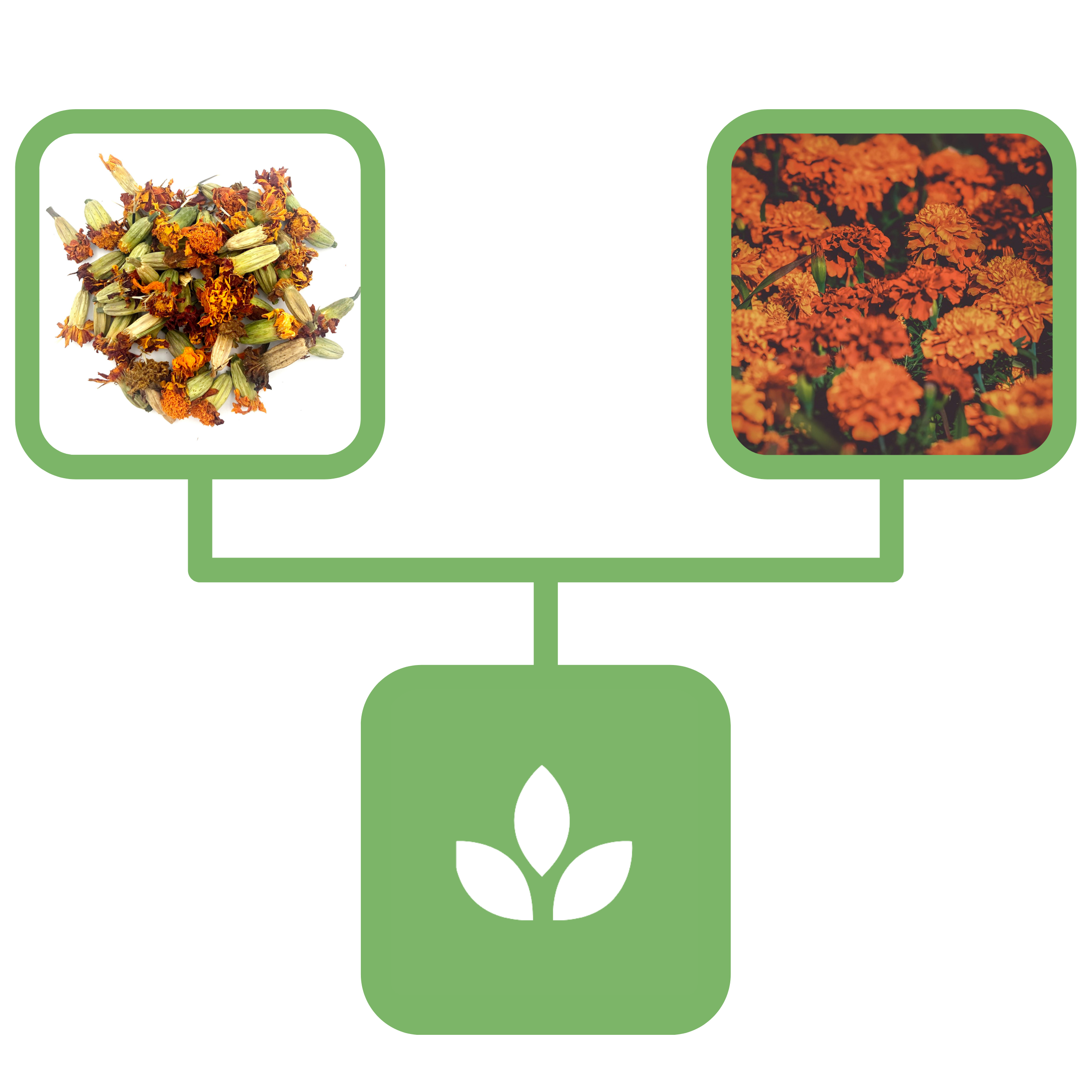 65b23db779240cc1dd068ba6550d7842.png 260e3cd48c02072473610c37ef796fd6