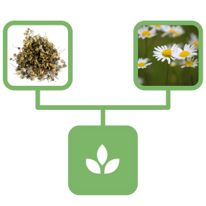 195a6e3a5e2afc576d2d80469280ddb8