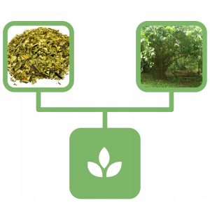 3800e2547cc41d45d31df708126f9f38