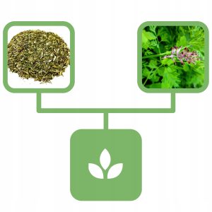 114a26f93316c1e21bd09fb819b2b45f