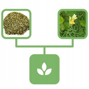 d2131824d0555d50d4e0dd2fa73560a0