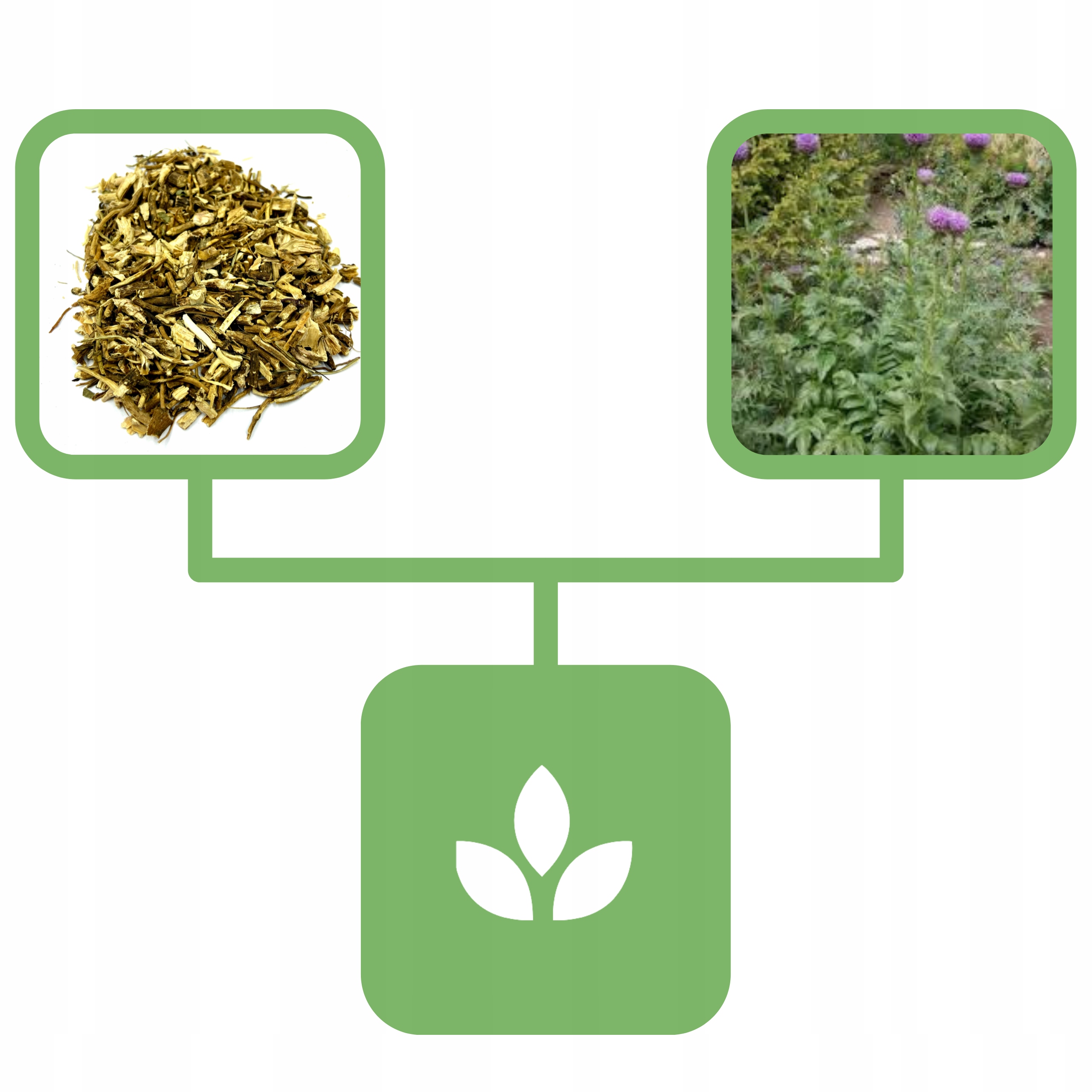 7a2378e7a80c028e94c6c1e4357feb8d.jpg a52a8c0b2fd9445665899904edaa1423