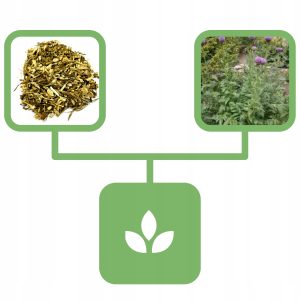 a52a8c0b2fd9445665899904edaa1423