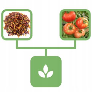 e23606a960a65dd532534d1d4a1030b4