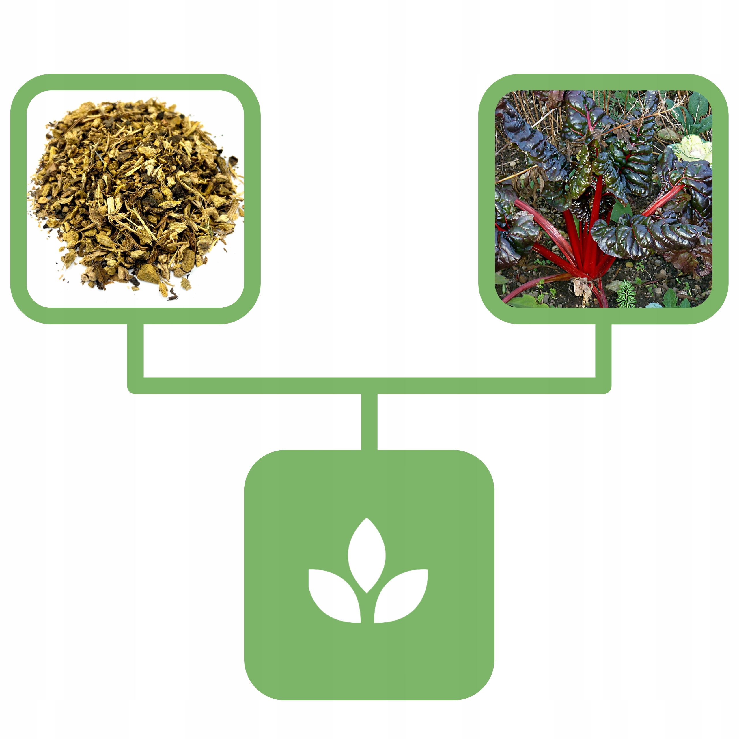 8f7e1a71435e862d3ada295c558c7ada.jpg dd61abd3f39ccb3865c347638d4db578