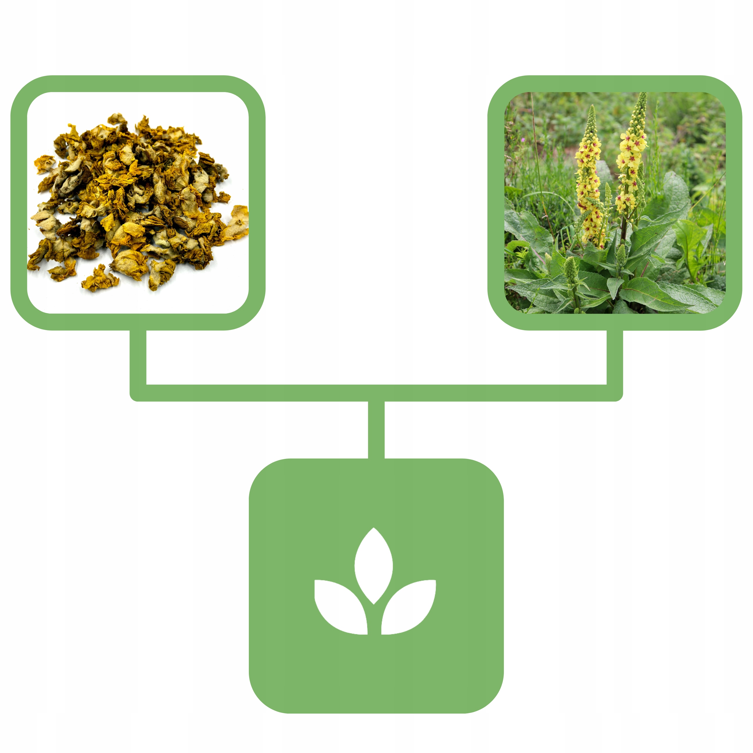 91dcfb062888ac2665b2eac2ef578e3e.jpg 558fec3bfa4207057ad939a6bb04454a