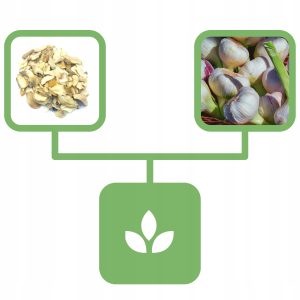 dafab0a4e82d2f0e68efe90366b8e981