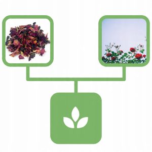 fe037408d9ce89239ec48e012403dfdf