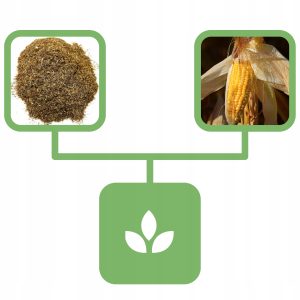 477c57e4c40731c831bcc70e91be2523