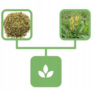 f2a2d3653a40a65aeec61602a3b22c1e