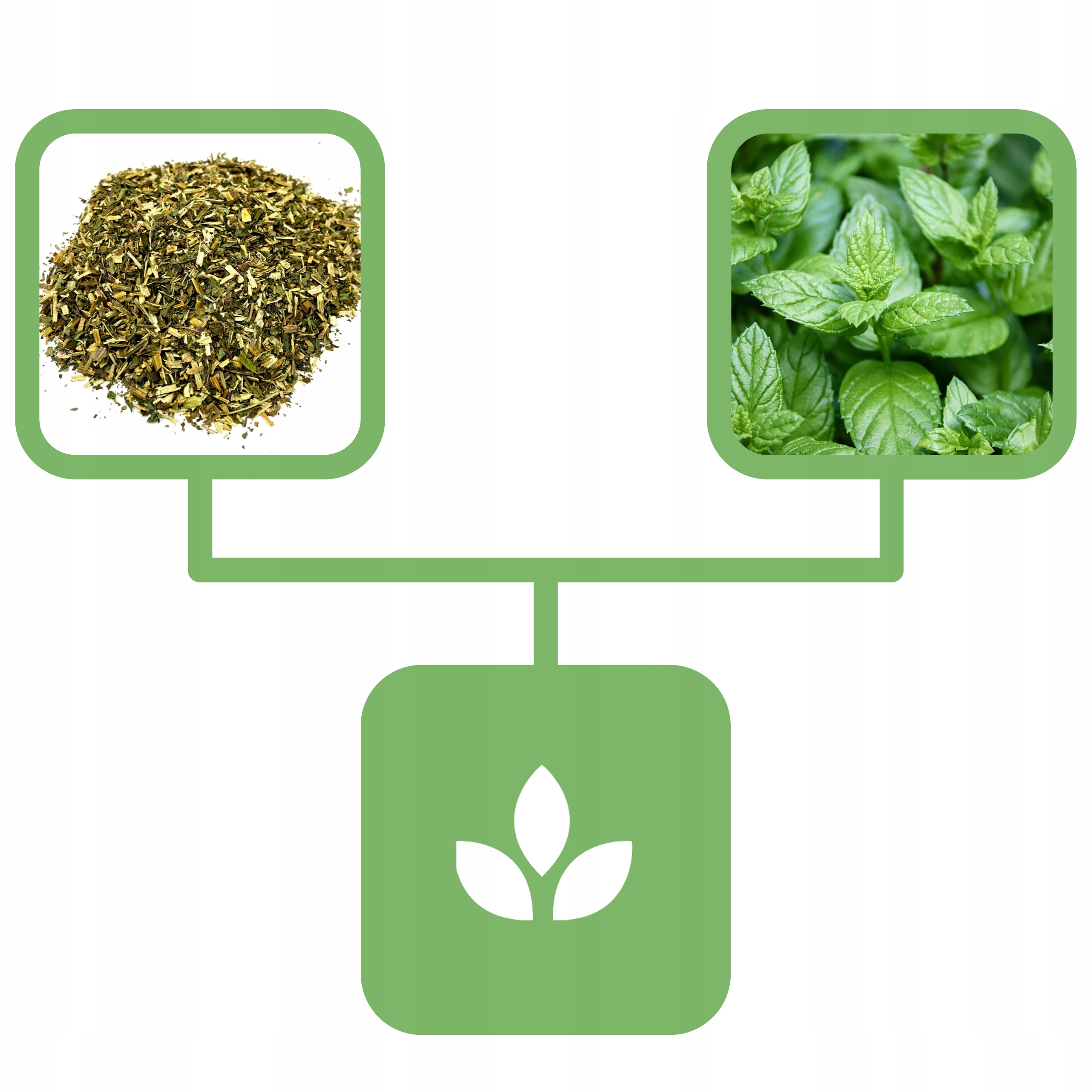 b8af87cf972fd511c6971190ce0fe032.jpg 94c9434abf9b1a97e1c2560904cb7f0b