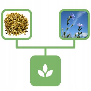 98c89a73440b91fb0daf589c23482ef2