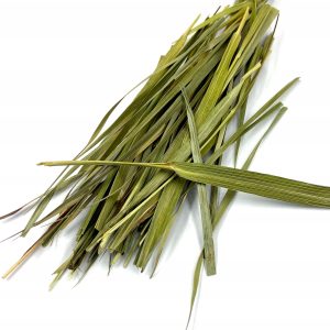 6ae605eb74eb2836dac39a0bf363449a