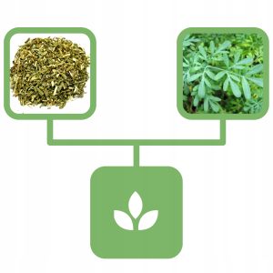 9722ccf553d6135e75587af0df0f2257