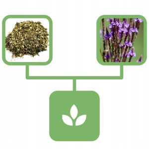 bce3233d7e5473e24bd5f4c376498adf