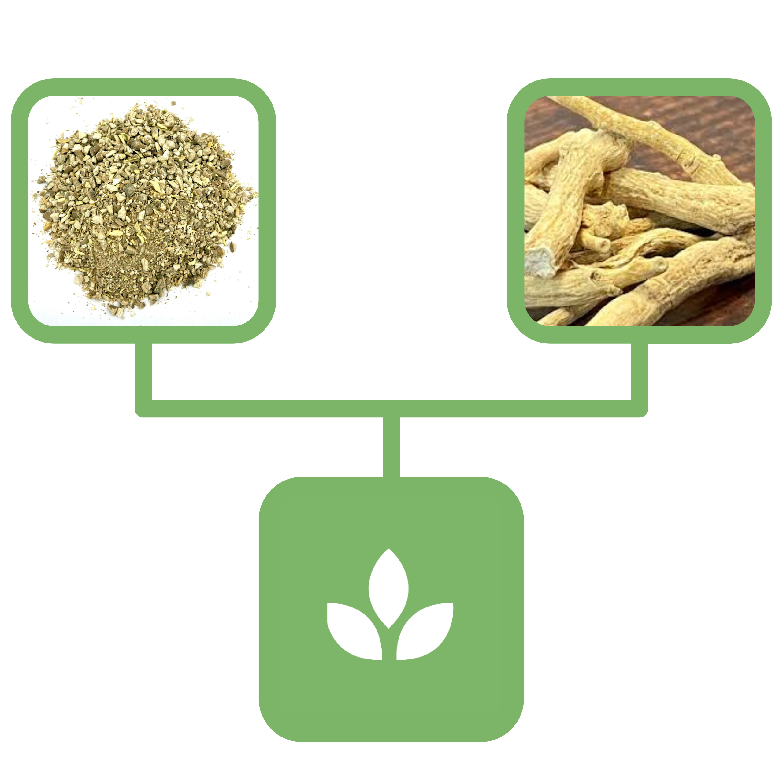 e3bb894653246b35e62f96abcdf50558.png b7ca980400ad0251ea1d611192beab64