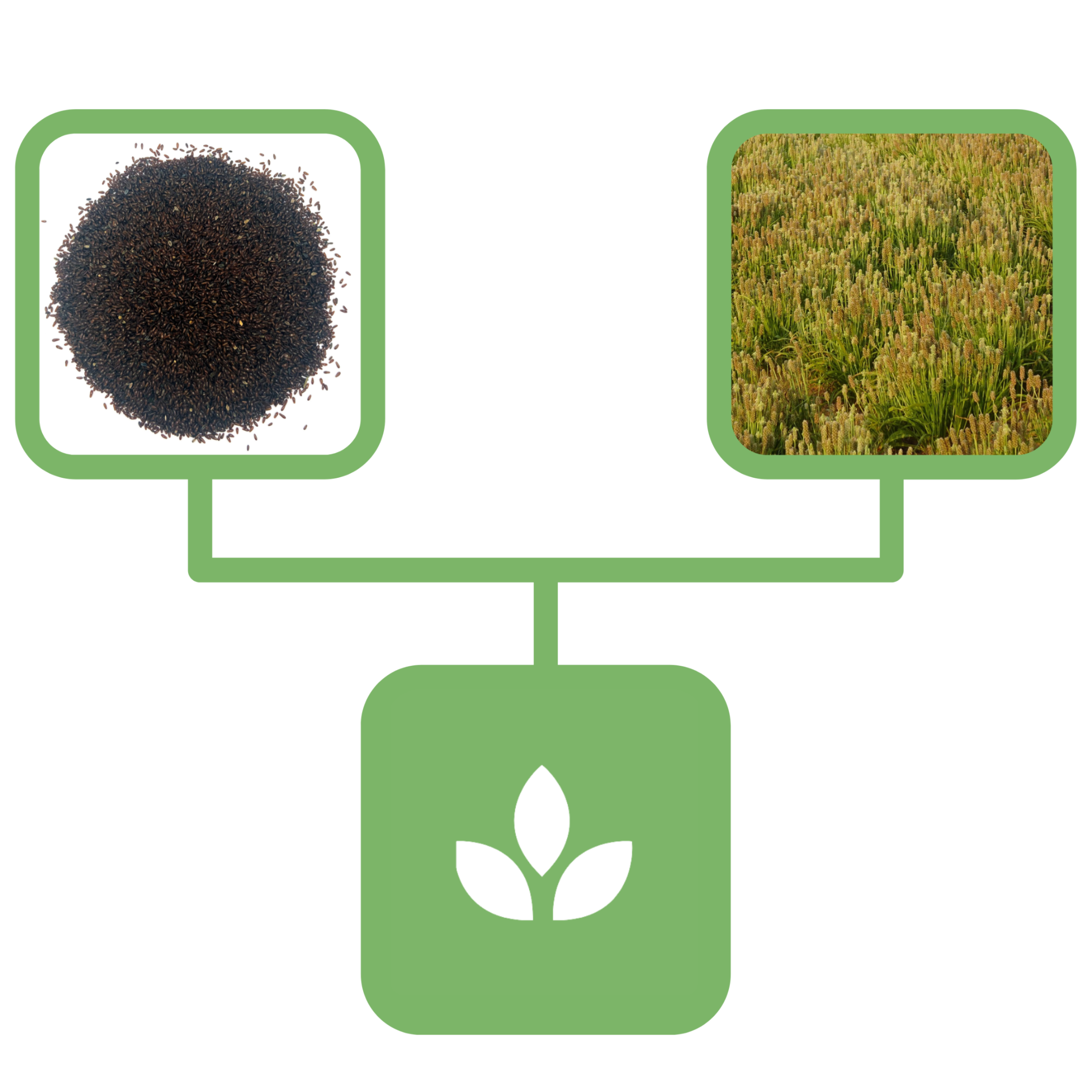 ed7fa979d86cd48794216102875362ad.png 088caab4430092aad075de4f78675601