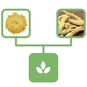 960048933c033547bfd893c8363a7237